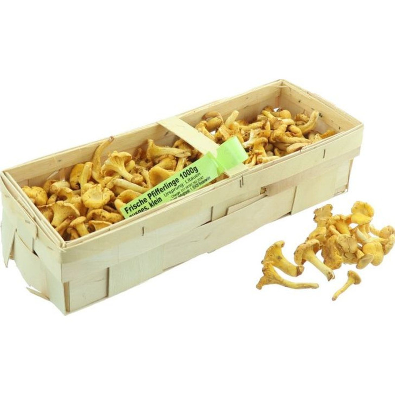 CHAMPIGNON GIROLLE TETE DE CLOU 1KG